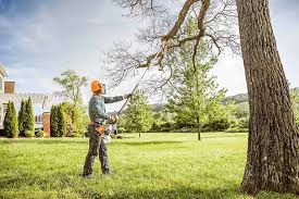 How Our Tree Care Process Works  in  Vassar College, NY